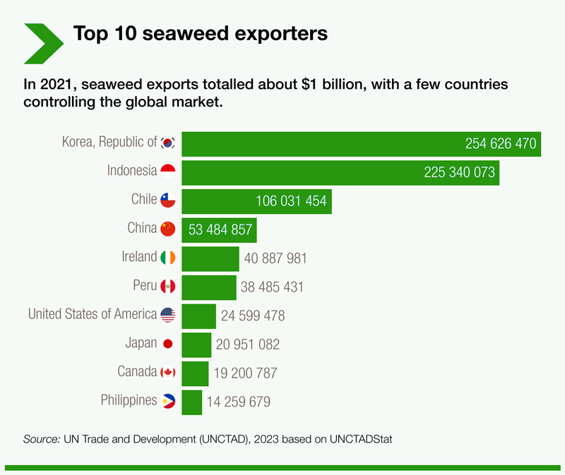 seaweed exporting countries